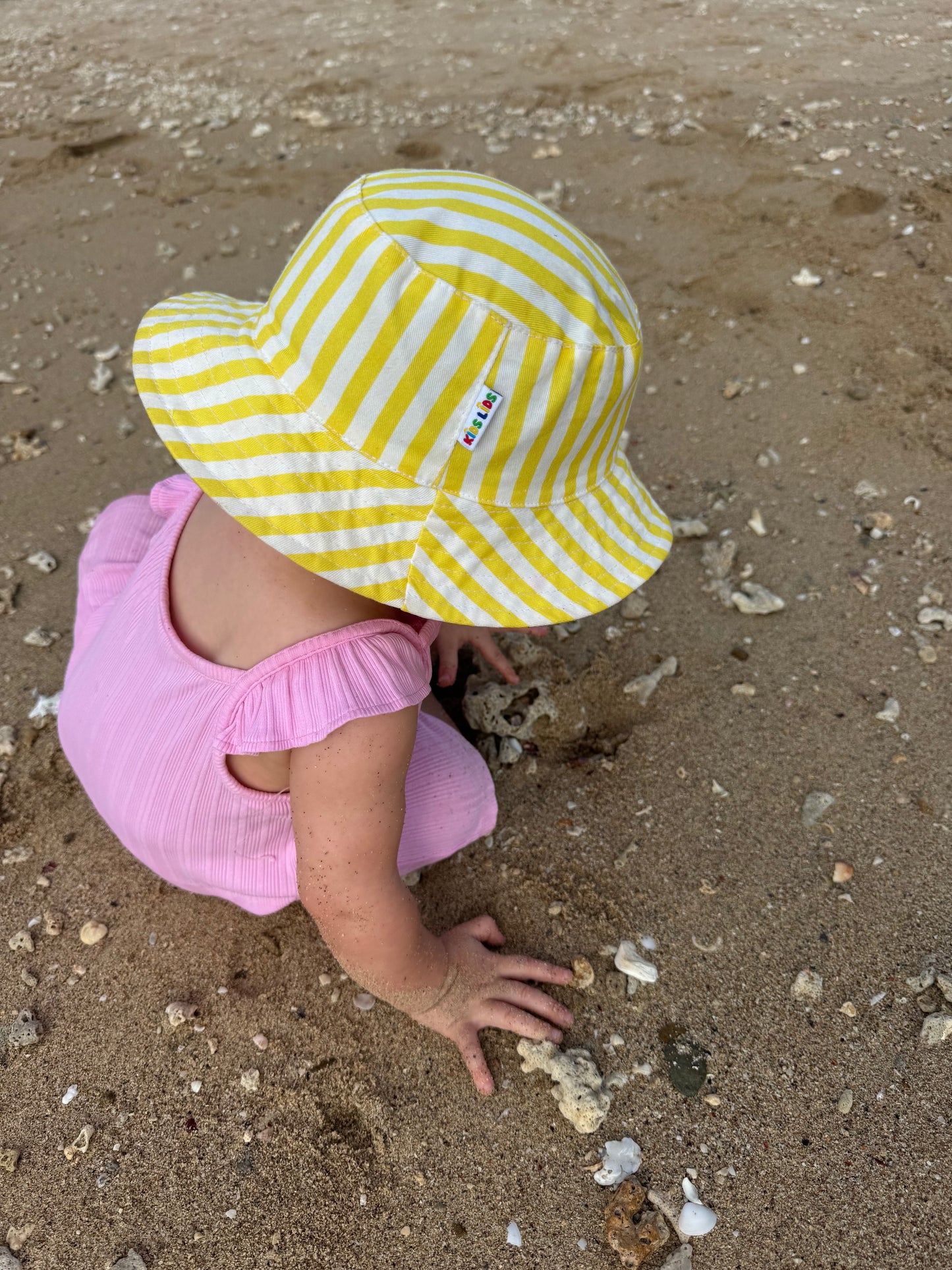 The Mango Split - Lil' Tacker (Small)