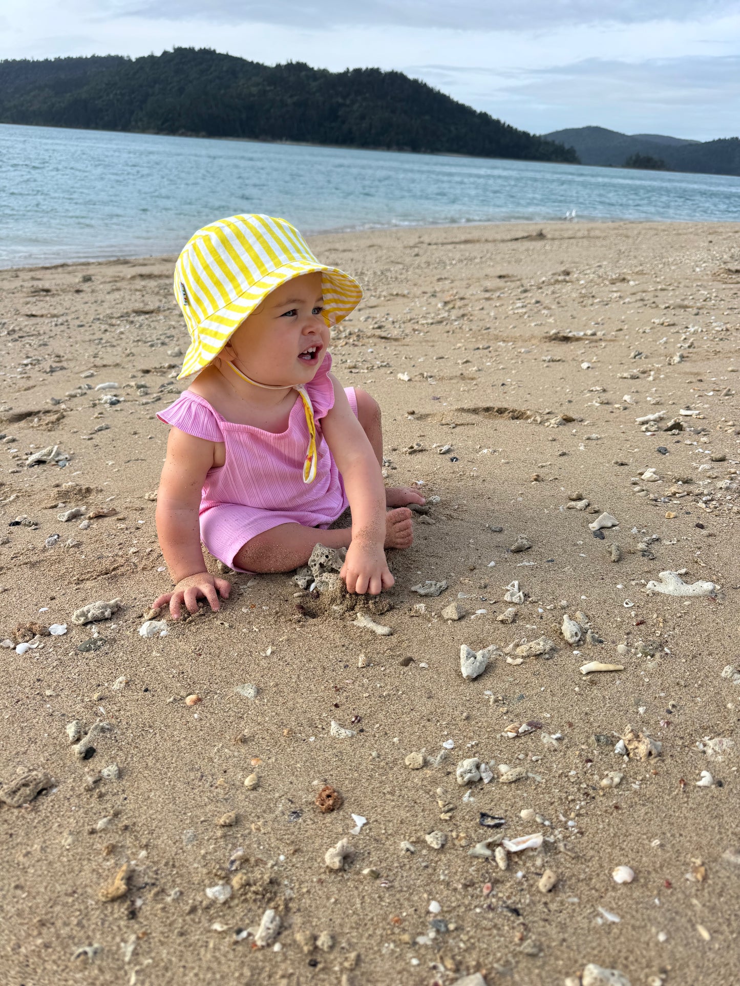 The Mango Split -  Lil' Tacker (Small)