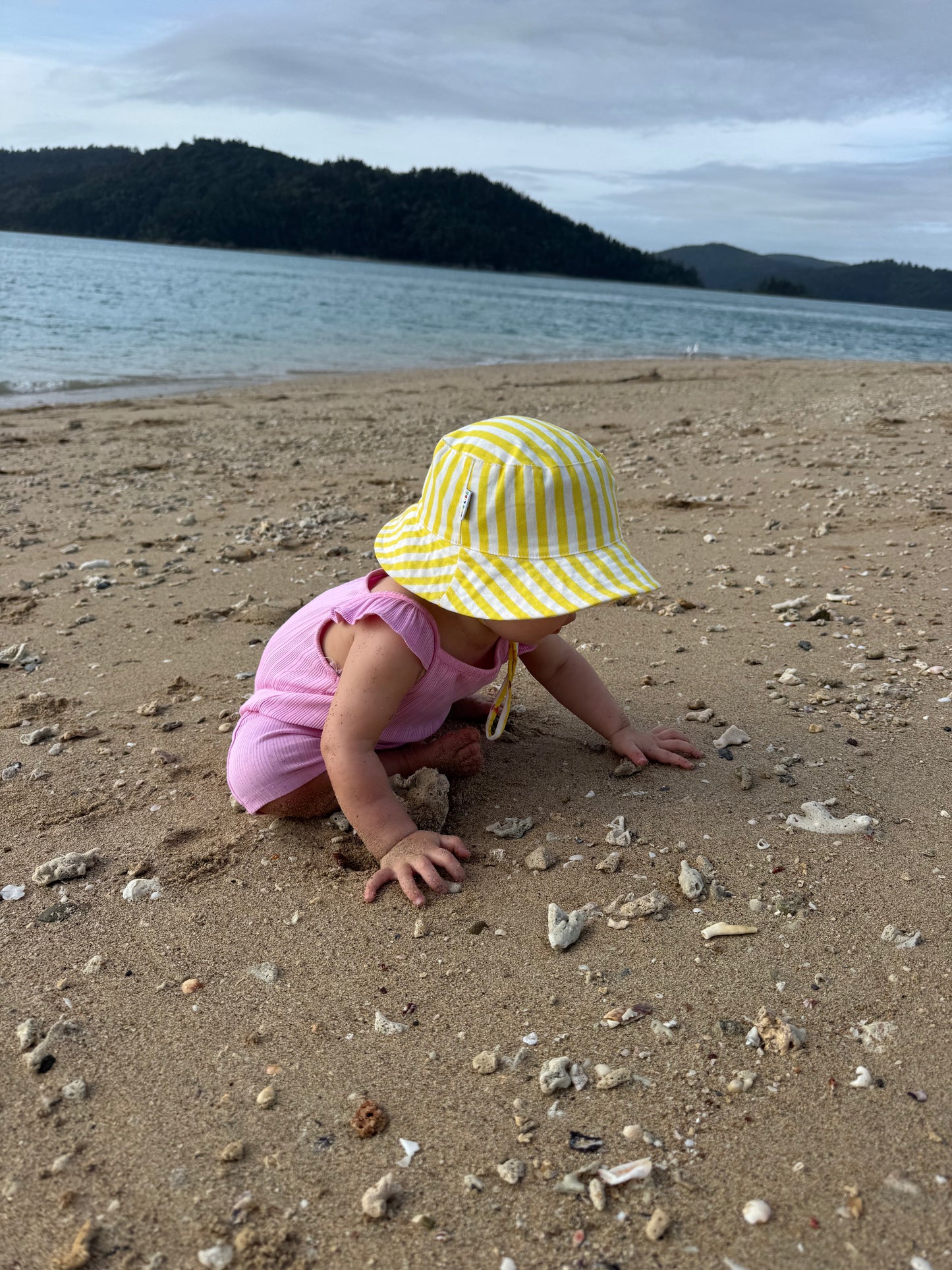 The Mango Split -  Lil' Tacker (Small)