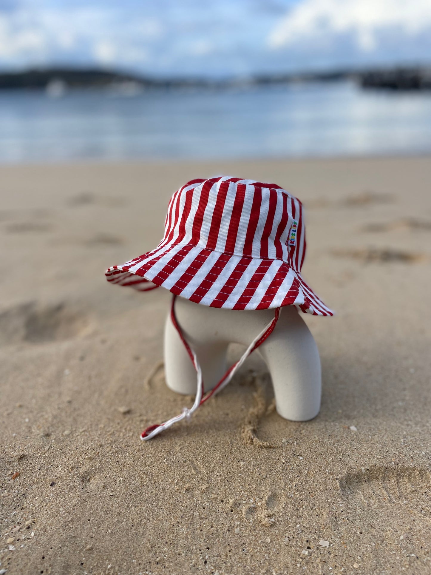 The Beach Baron - Lil' Tacker (Small)