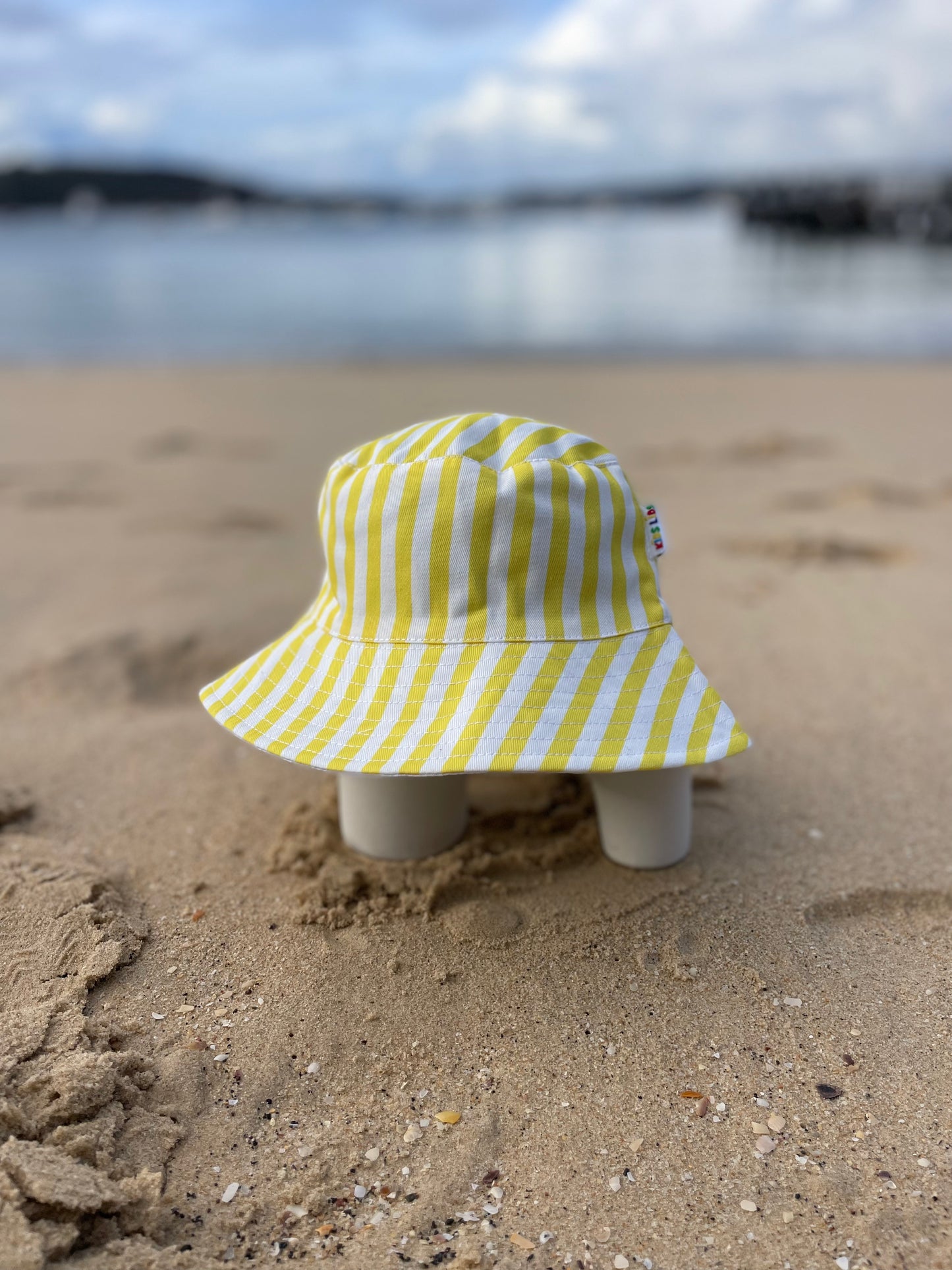 The Mango Split (Medium or Large)