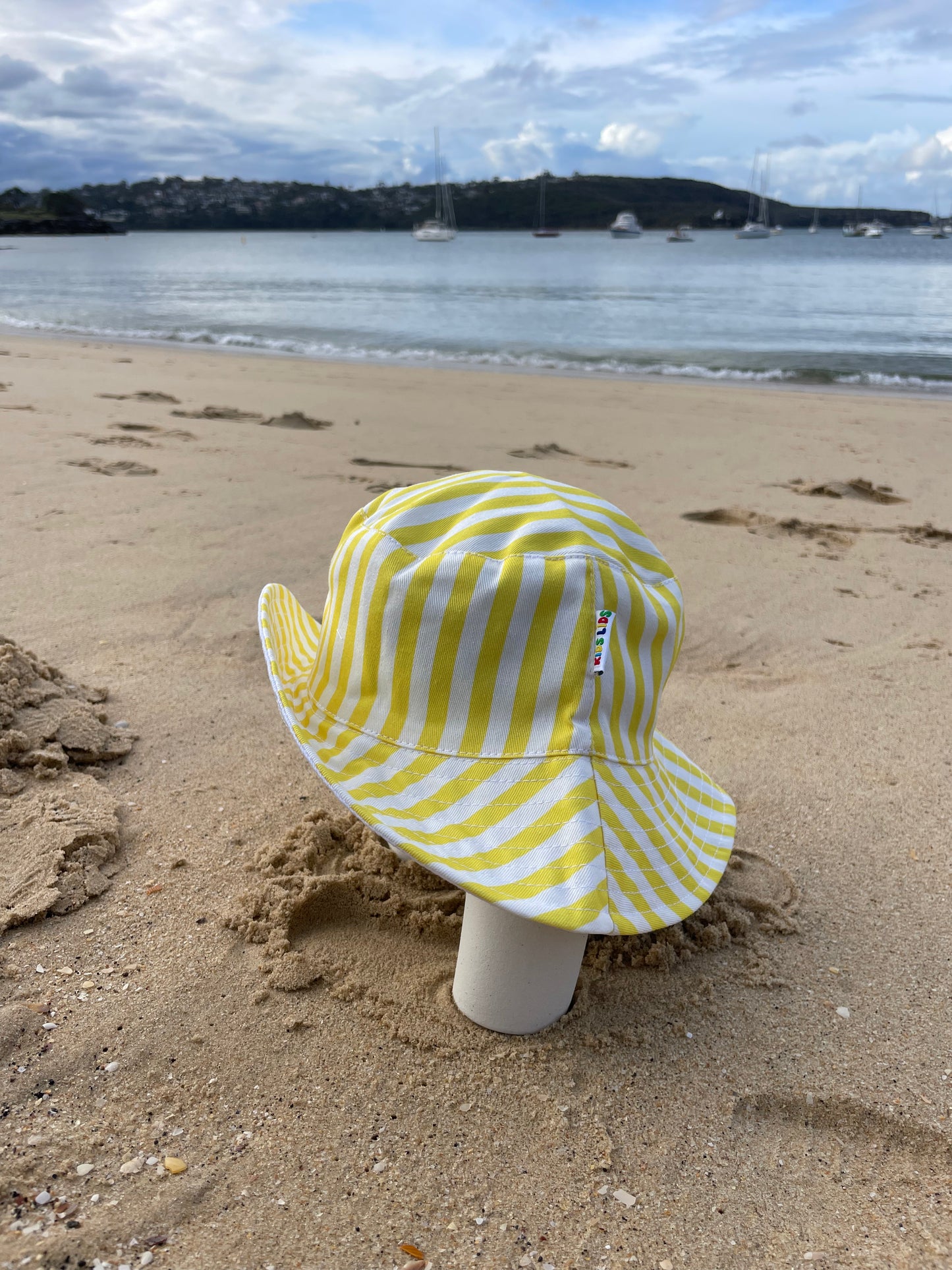 The Mango Split (Medium or Large)