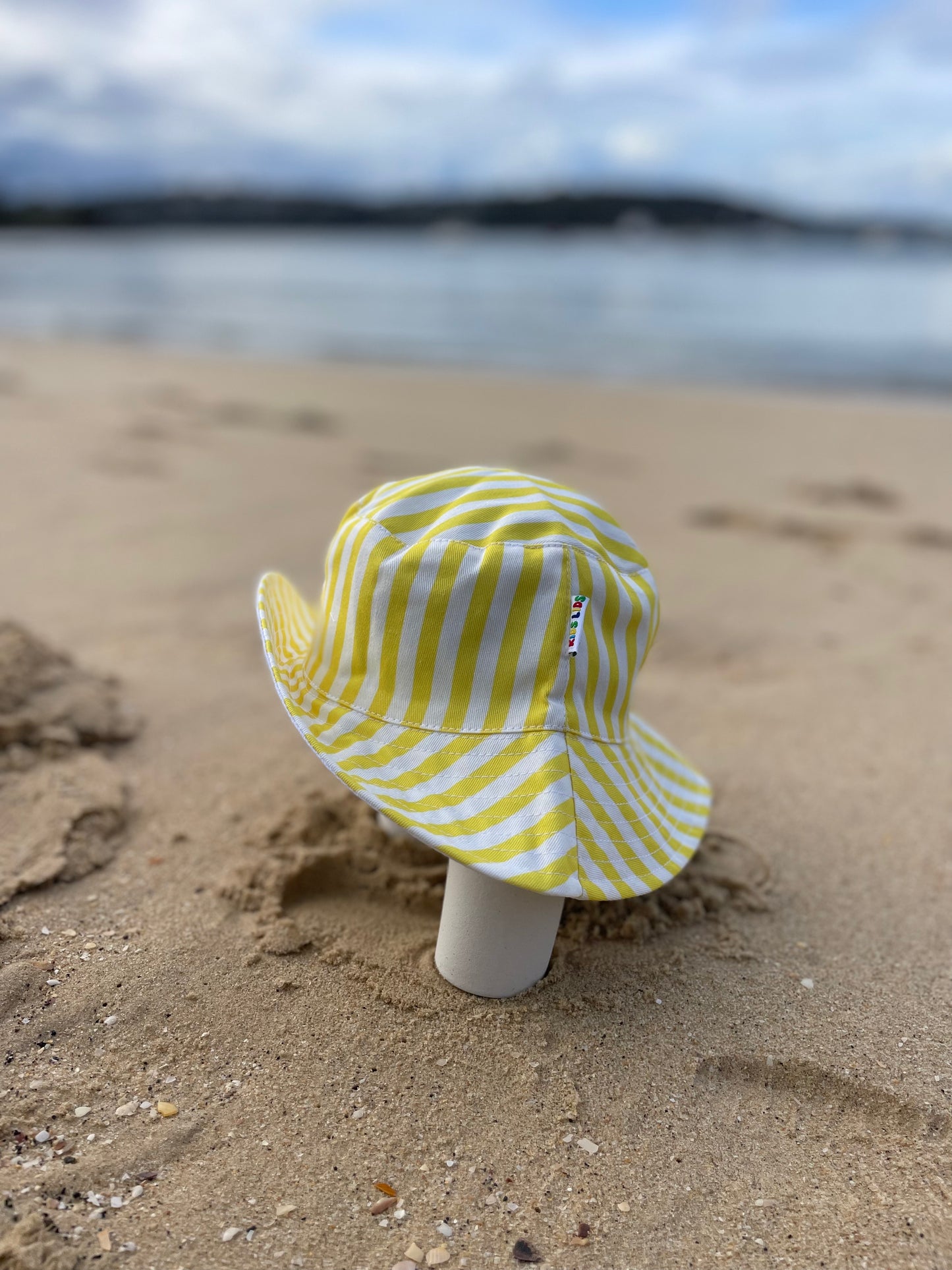 The Mango Split (Medium or Large)