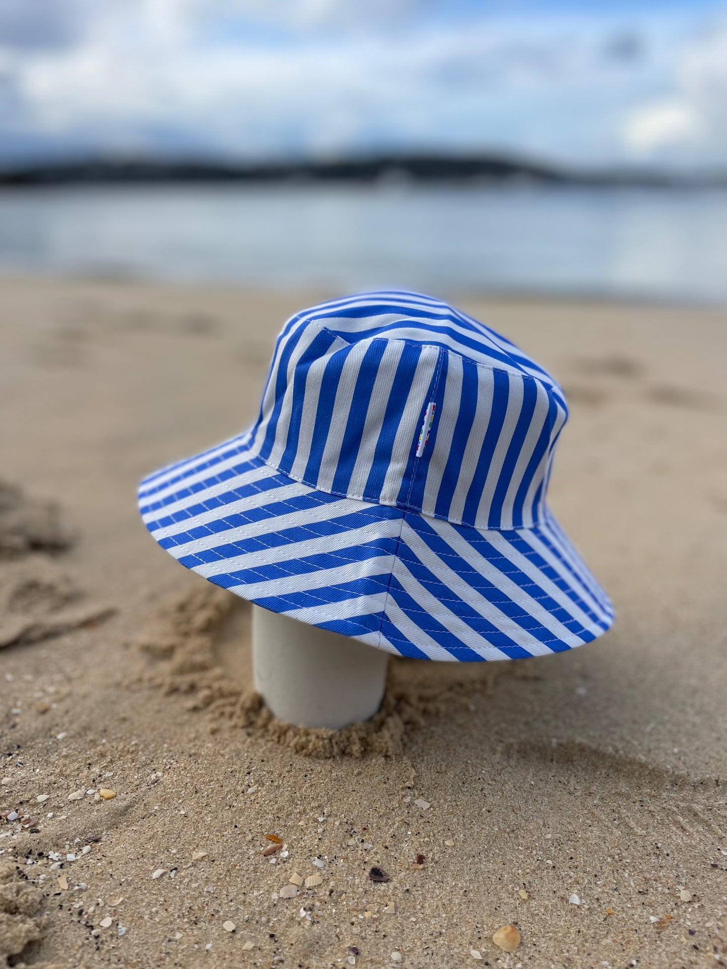 The Blue Bandit (Medium or Large)